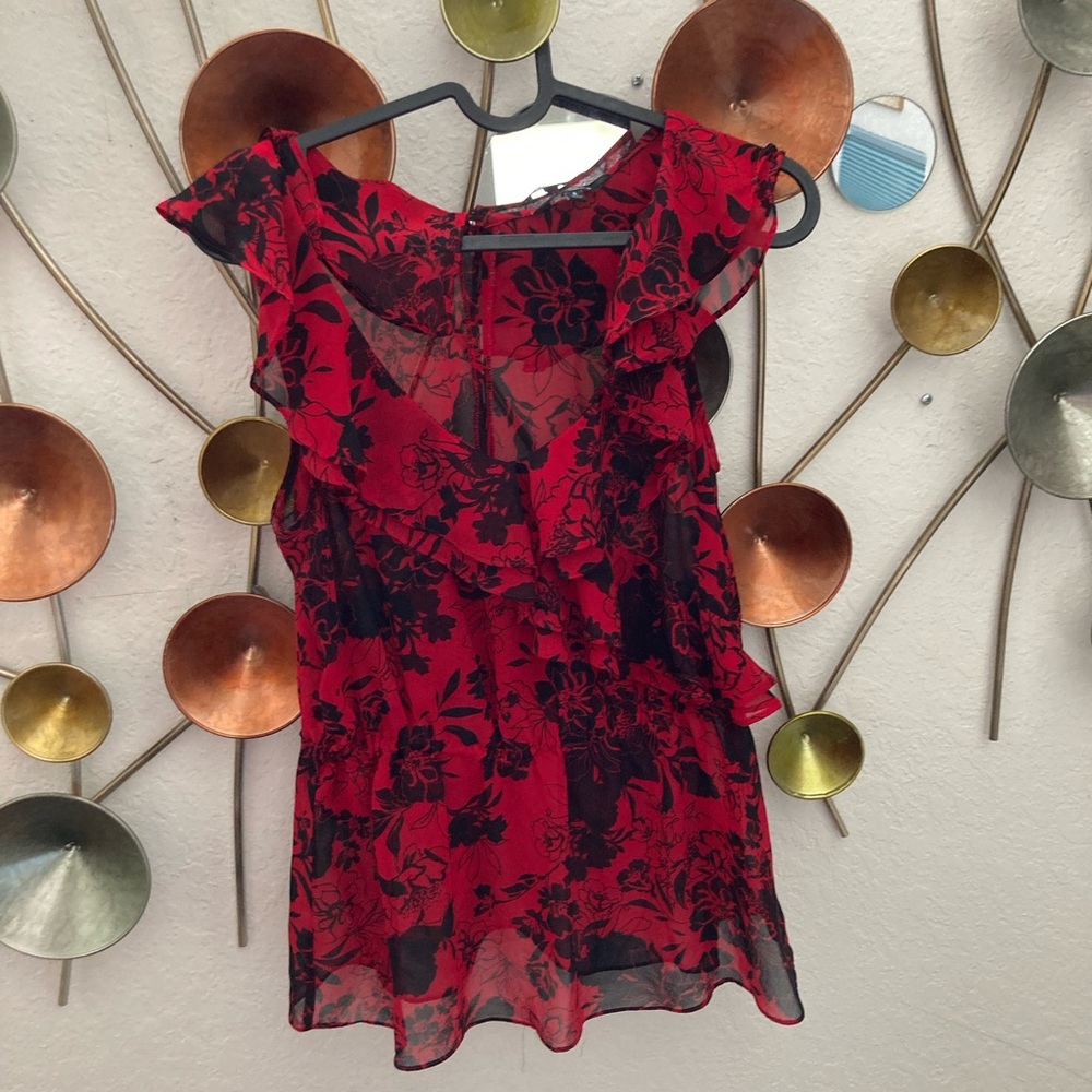 Express Sheer Top